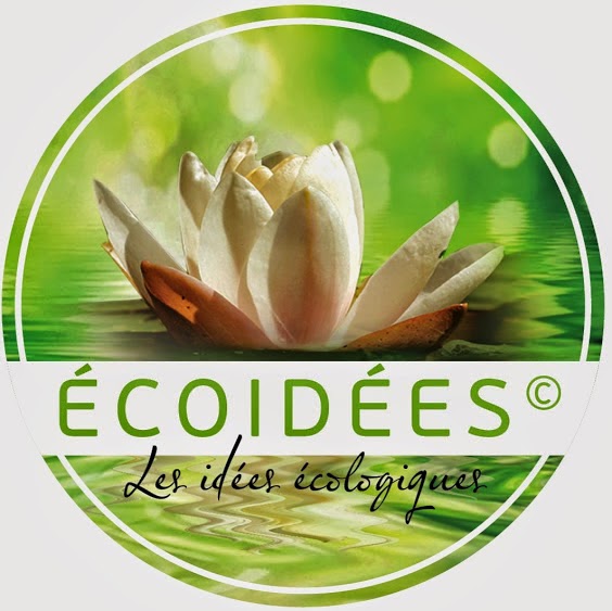 ECOID2ES