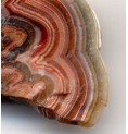 Agate élixir KORTE PHI Agate élixir KORTE PHI
