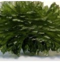 Moldavite* Moldavite*