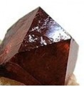 Zircon*