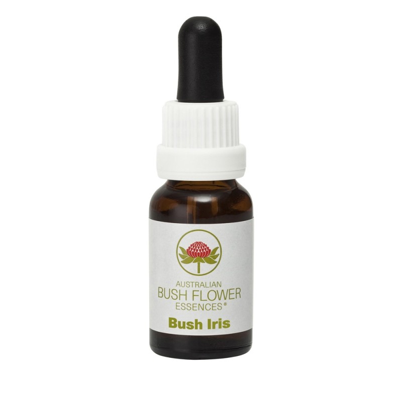 Bush Iris