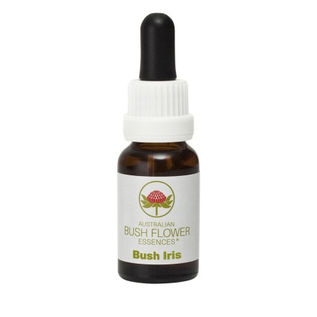 Bush Iris