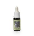 Céropégia Fusca* (Release Cactus) élixir 15ml Céropégia Fusca* (Release Cactus) élixir 15ml