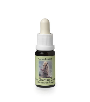 Cleistocactus Strausii*  (Aura Cleansing Cactus) élixir 15ml