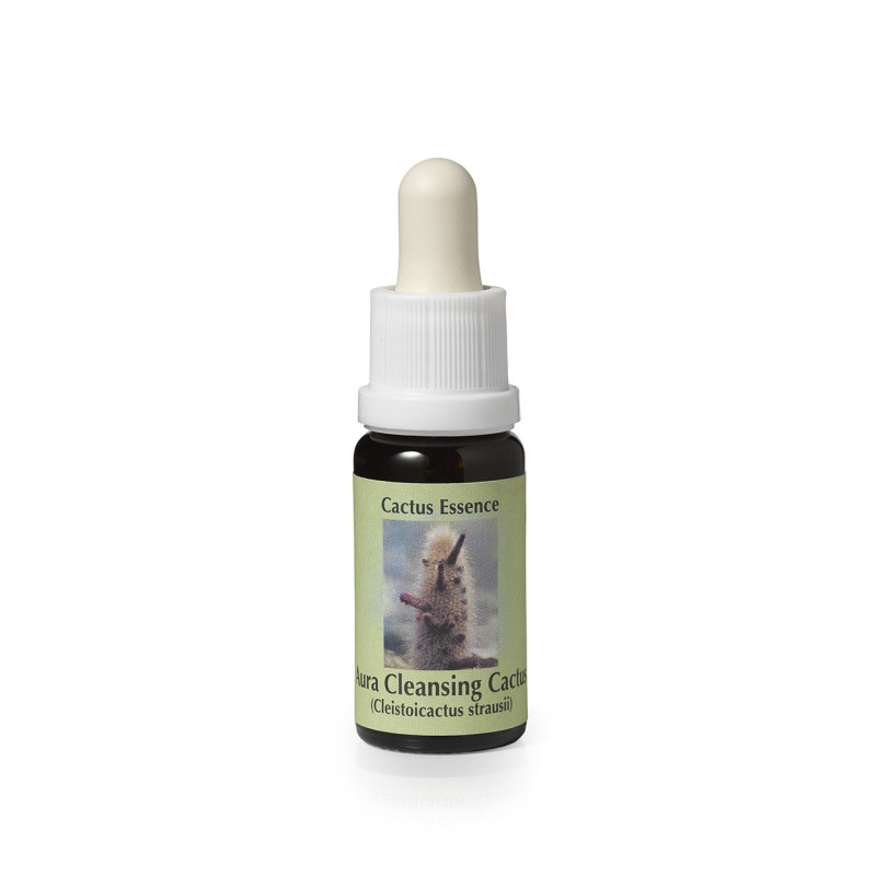 Cleistocactus Strausii* (Aura Cleansing Cactus) élixir 15ml Cleistocactus Strausii* (Aura Cleansing Cactus) élixir 15ml