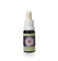Echinopsis Oxygona* (Inspiration Cactus) élixir 15ml Echinopsis Oxygona* (Inspiration Cactus) élixir 15ml