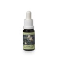 Hylocereus Undatus* (Here and now cactus) élixir 15ml Hylocereus Undatus* (Here and now cactus) élixir 15ml