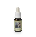 Stenocereus Marginatus* (Noble heart cactus) élixir 15ml