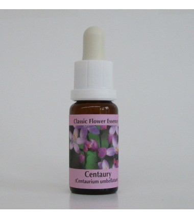 Centaurée/Centaury