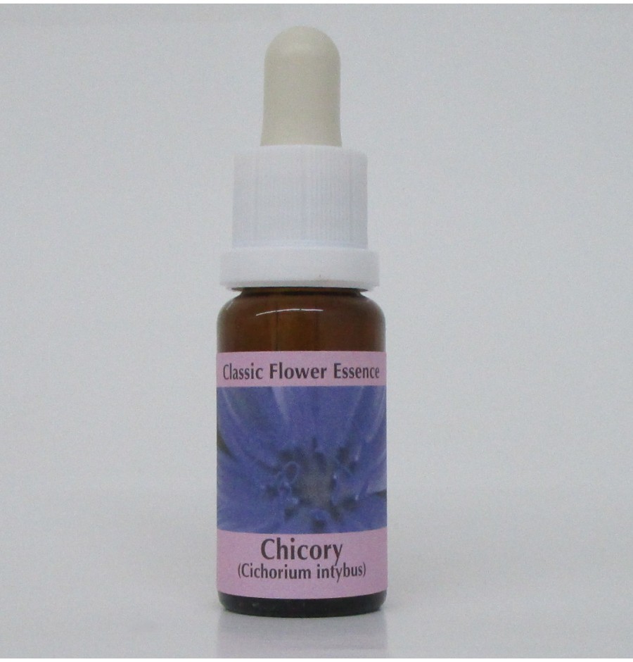 Chicorée Sauvage/Chicory élixir