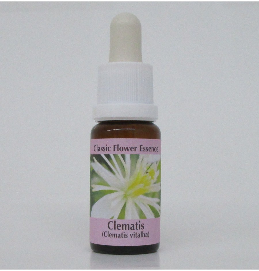 Clématite/Clematis élixir