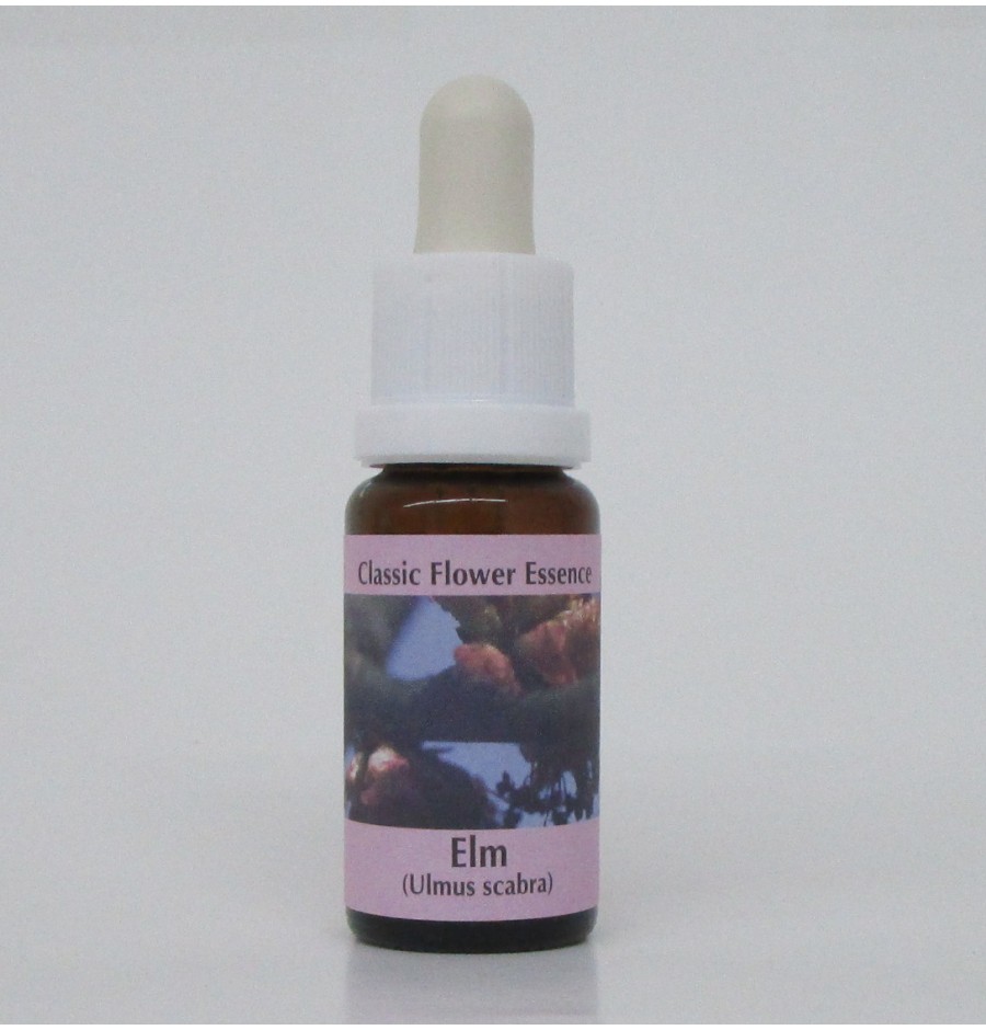 Orme/Elm élixir