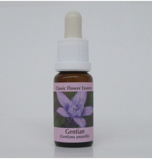 Gentiane/Gentian