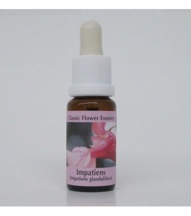 Impatience/Impatiens