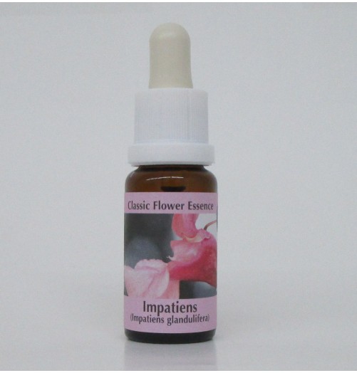 Impatience/Impatiens