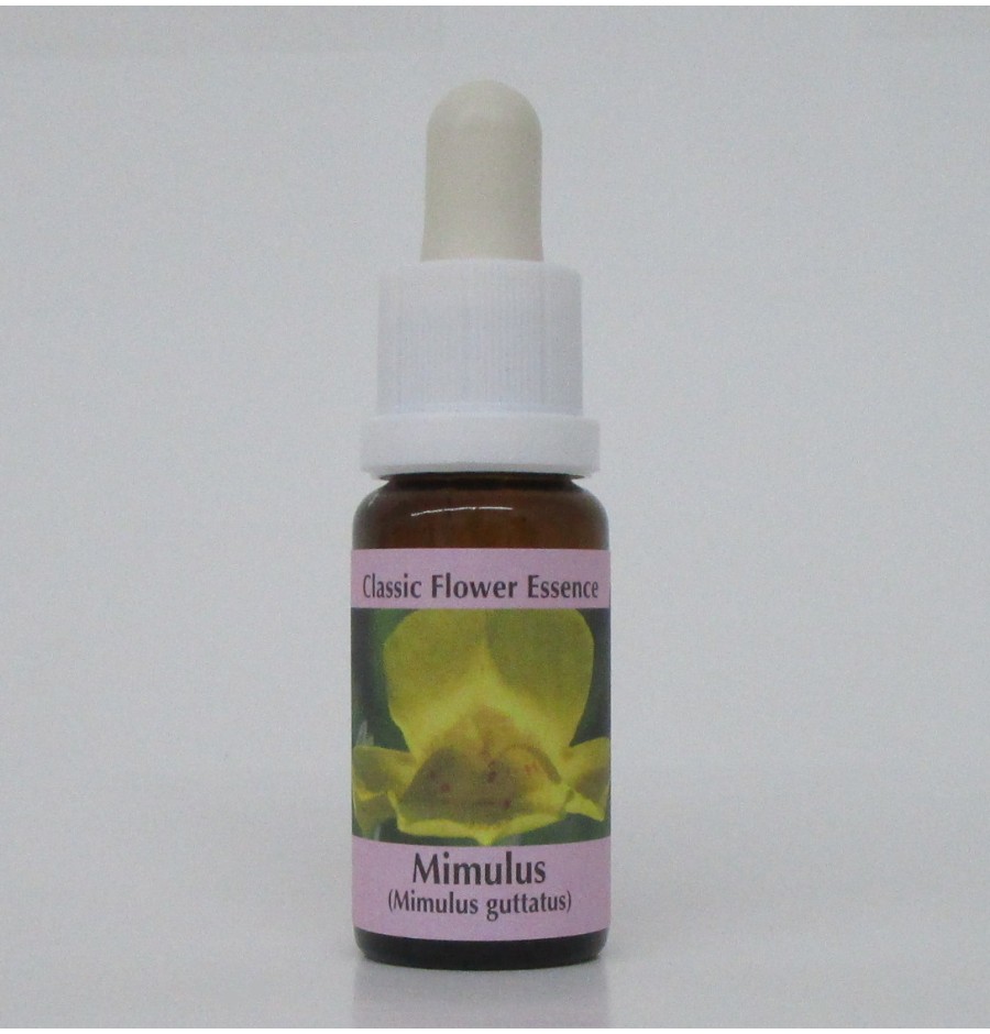 Muscade/Mimulus élixir