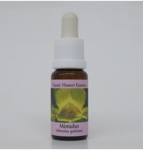 Muscade/Mimulus