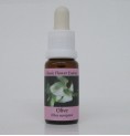 Olivier/Olive élixir Olivier/Olive élixir