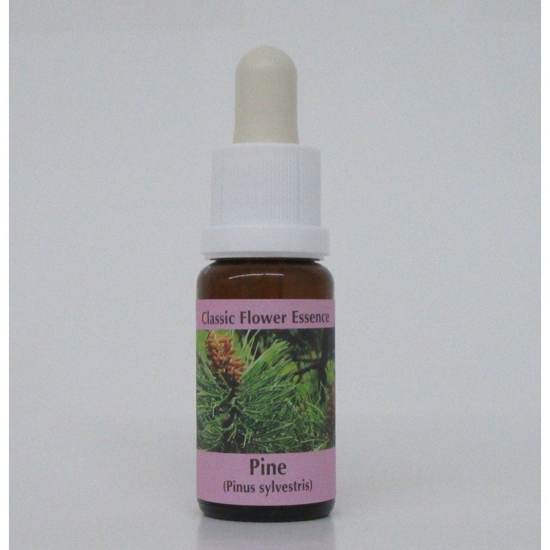 Pin sylvestre/Pine*