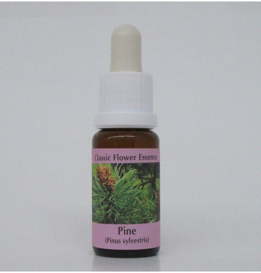 Pin sylvestre/Pine élixir Pin sylvestre/Pine élixir