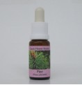 Pin sylvestre/Pine*