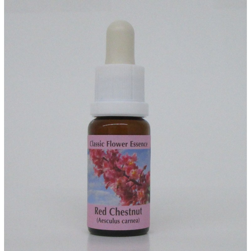 Marronnier Rouge/Red Chestnut Marronnier Rouge/Red Chestnut