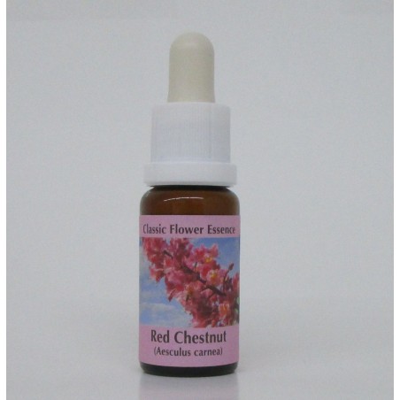 Marronnier Rouge/Red Chestnut