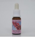 Marronnier Rouge/Red Chestnut*
