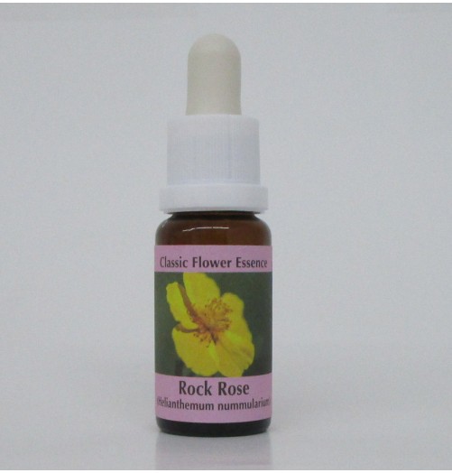 Hélianthème/Rock Rose