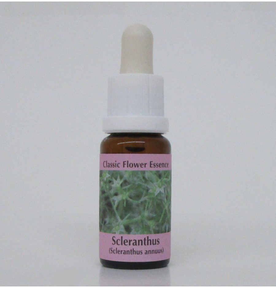 Alène/Scleranthus élixir Alène/Scleranthus élixir