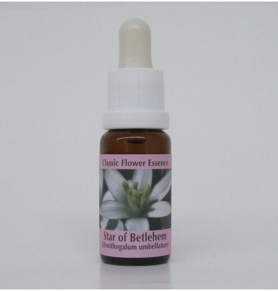 Dame de Onze Heures/Star of Bethlehem élixir Dame de Onze Heures/Star of Bethlehem élixir