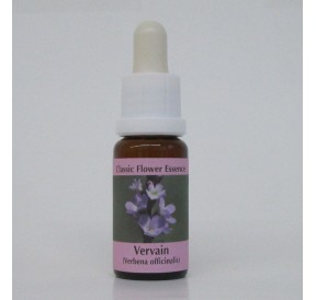 Verveine/Vervain