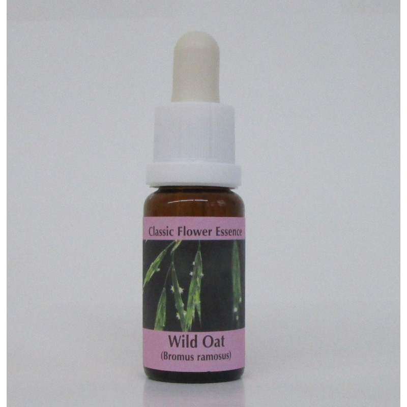 Folle Avoine/Wild Oat* Folle Avoine/Wild Oat*