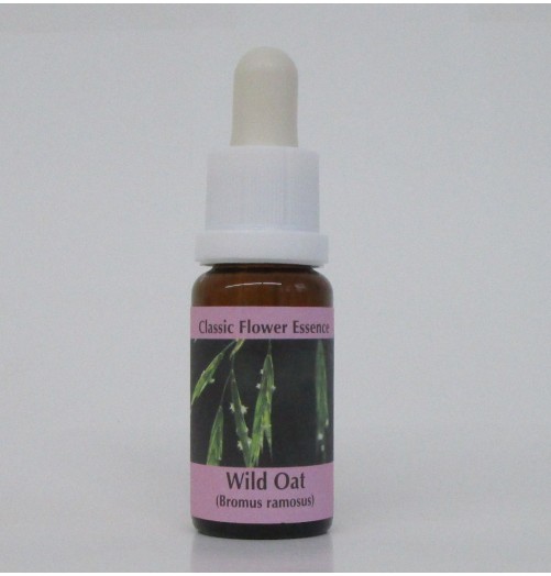 Folle Avoine/Wild Oat