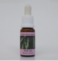 Folle Avoine/Wild Oat* Folle Avoine/Wild Oat*