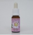 Eglantier/Wild Rose*