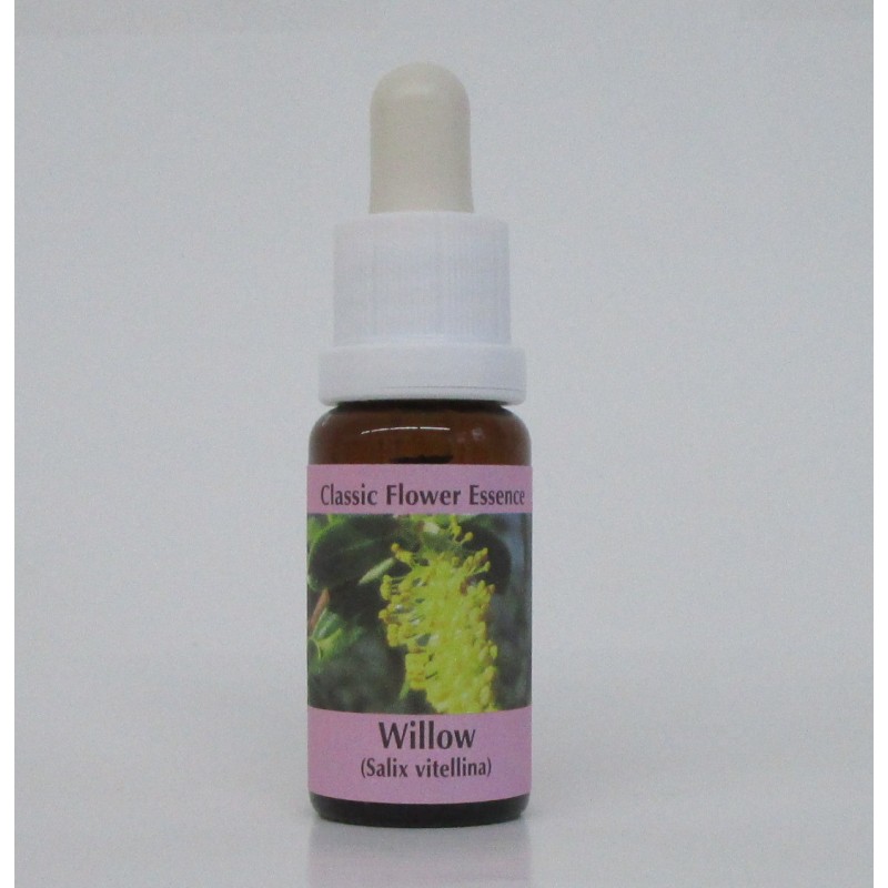 Saule/Willow*
