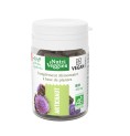Artichaut Bio 40 gélules Artichaut Bio 40 gélules