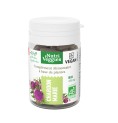 Chardon Marie Bio 40 gélules Chardon Marie Bio 40 gélules