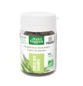 Prêle des Champs Bio 40 gélules