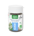 Valériane Bio 40 gélules
