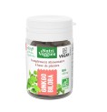 Ginkgo biloba Bio 40 gélules Ginkgo biloba Bio 40 gélules