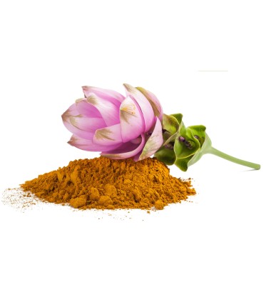 Curcuma Bio 40 gélules