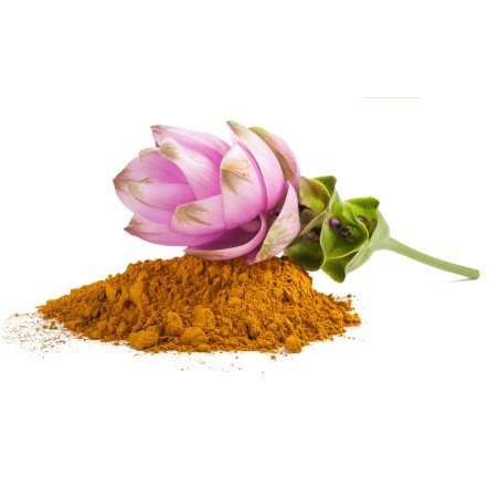 Curcuma Bio 40 gélules