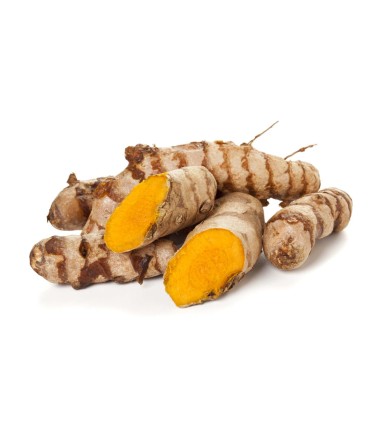 Curcuma Bio 40 gélules