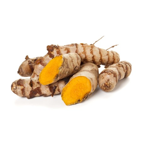 Curcuma Bio 40 gélules