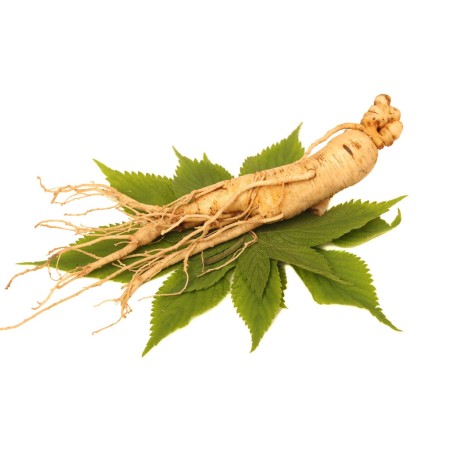 Ginseng Sibérien Bio 40 gélules