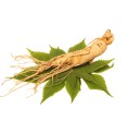 Ginseng Sibérien Bio 40 gélules Ginseng Sibérien Bio 40 gélules