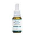 Apophyllite élixir Apophyllite élixir