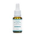 Bornite élixir Bornite élixir